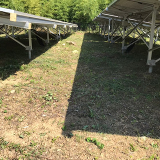 （日払い、週払い可）草刈り作業、軽作業等