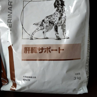 肝臓サポート　犬　ドッグフード