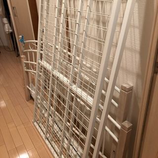 ダブルベット決まりました。ありがとうございました。の画像