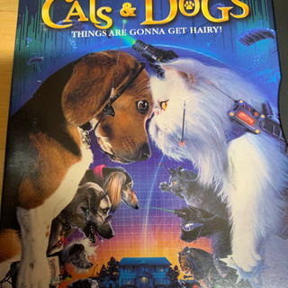 CATS & DOGS   Region1 (リージョン1)