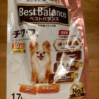 ドッグフード（ベストバランス）シニア　チワワ用