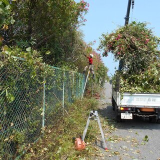 🌱庭の改造:リフォームをDIYで行う方.大変な箇所だけOK🌱石.植木.物置.土.等 移動や撤去/整地/処分。雑草対策に防草シート。 − 福岡県