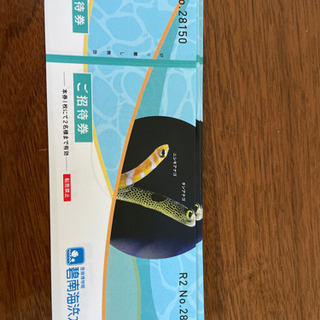 碧南海浜水族館　入館券