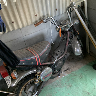 チャッピー80
