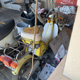 当時　ヨーディの画像