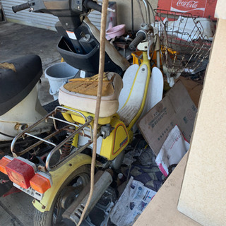 当時　ヨーディ