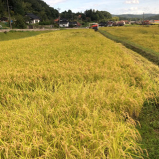 三次産　コシヒカリ30キロ　いりませんか？