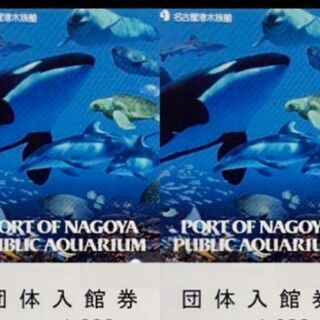 名古屋港水族館 入館券 チケット 2枚 Ｄ