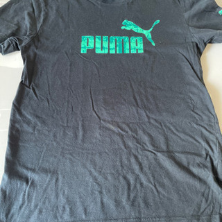 プーマ　Tシャツ　Sサイズ