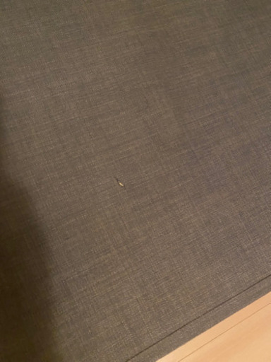 IKEA FRIHETEN フリーヘーテン コーナーソファベッド 収納付き