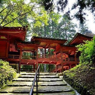『比叡山延暦寺へ一緒に行きませんか😊』