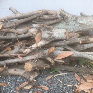 薪材🌳マテバシイ🌳BBQ/キャンプの画像