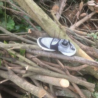 薪材🌳マテバシイ🌳BBQ/キャンプの画像