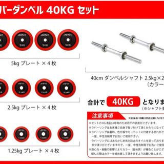 IROTECラバーダンベル40kg（片手２０kg×2個）の画像