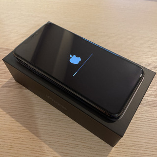 【美品】iPhone 11 Pro Max スペースグレイ 64...