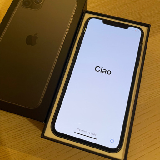 【美品】iPhone 11 Pro Max スペースグレイ 64 GB SIMフリー Dual SIM 香港版