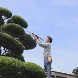 【登録制アルバイト】庭仕事に関わる職人さん、元職人さんを募集していますの画像