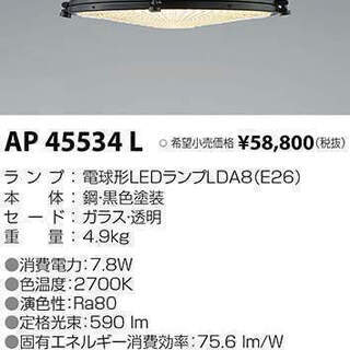 LED電球色7.3W（LED電球60形相当）ペンダント照明の画像