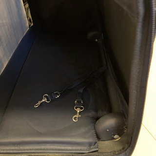 PEANUTS スヌーピー　ペットキャリーバッグの画像