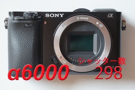 SONY A6000 ILCE-6000(シャッター数298)