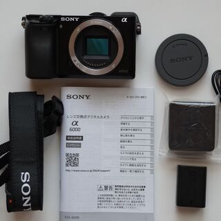 SONY A6000 ILCE-6000(シャッター数298)の画像