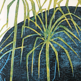 ✨美品✨絵本　推薦図書　ちいさなヒッポの画像