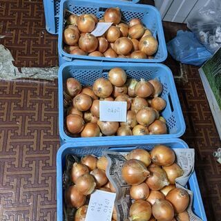 受付終了！　今年も沢山のお問合せありがとうございました🙇　白石産...