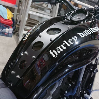 バイクの外装塗装します\( ⍢ )/