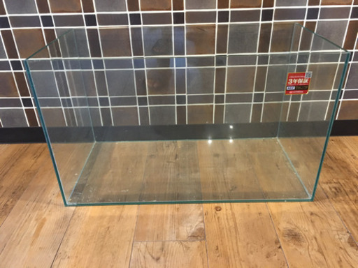ガラスの水槽