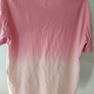 ザ・テイル・オブ・ゲンジ Tシャツの画像