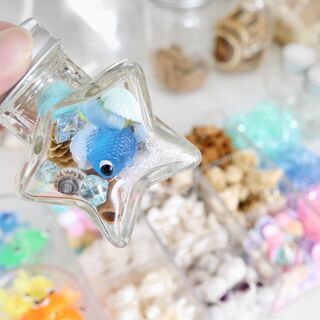 夏休みの工作やハンドメイドに！貝殻やカラフル金魚を詰め放題！の画像