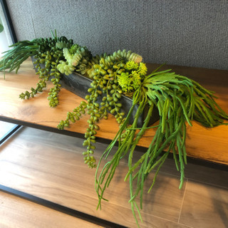 造花:観葉植物🌿
