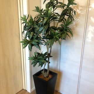 造花:鉢植え観葉植物🪴