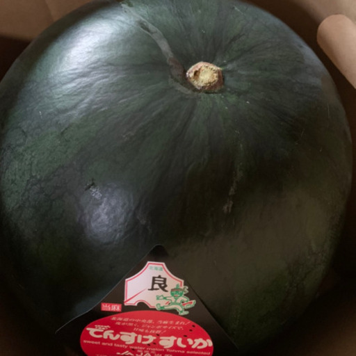 北海道　当麻産　デンスケスイカ　伝助西瓜　6Lサイズ　でんすけ　スイカ