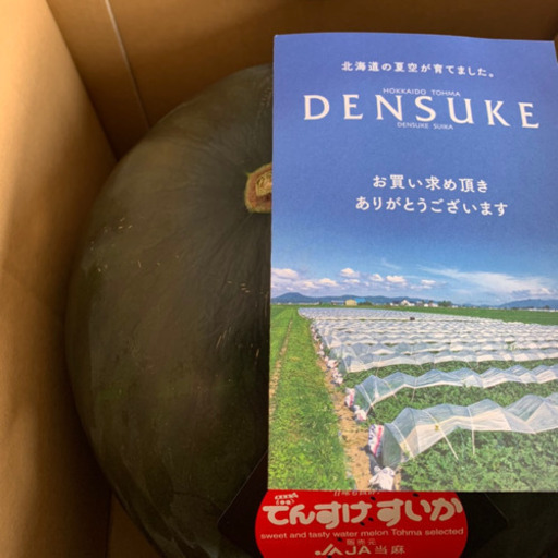 北海道　当麻産　デンスケスイカ　伝助西瓜　6Lサイズ　でんすけ　スイカ