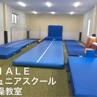 四街道体操教室！夏の体験会【VIALEジュニアスクール】