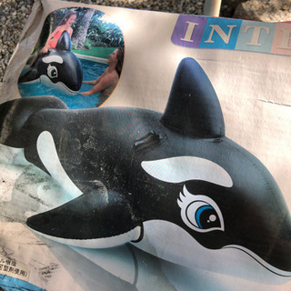 シャチ　浮き輪の画像
