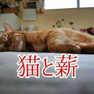 ナチュラル🔥ウッド　Ｂ品　キズ物　端材　無料で差し上げます🤭