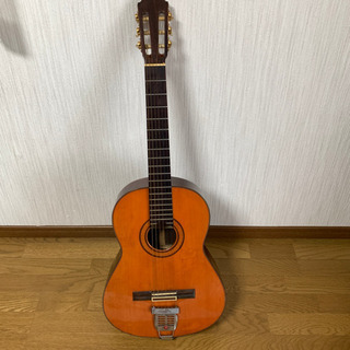 Eichi Kodaira Luthier E300 クラシック...
