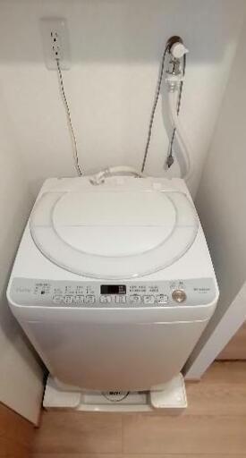 【美品】洗濯機7kg【SHARP】【ES-T709】