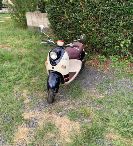 高年式　ヤマハ　ビーノ　FI  原付　バイク　50cc   車体