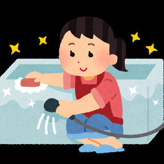年末の大掃除捗っていますか？