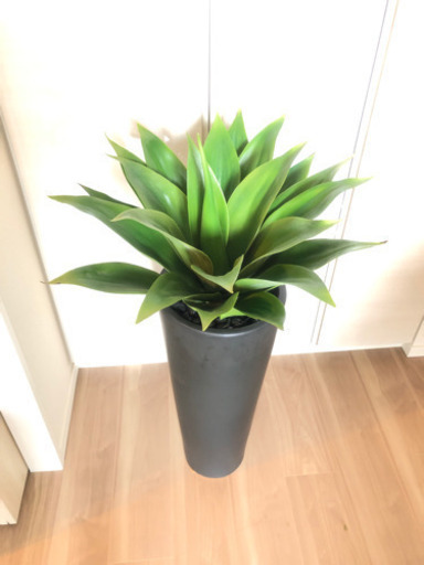 造花:鉢植え観葉植物