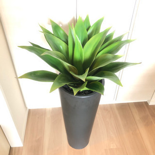 造花:鉢植え観葉植物🪴🪴🪴