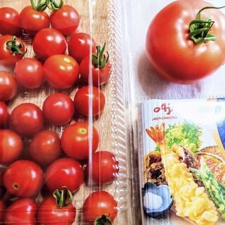 無農薬ミニトマトなど少量　物々交換希望です