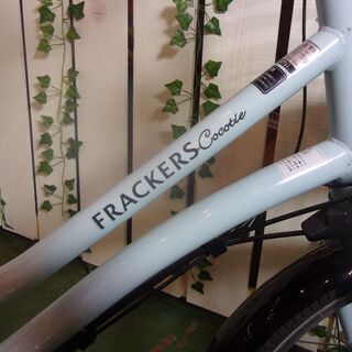 【愛品館八千代店】丸石サイクル　20インチ電動アシスト自転車【愛八JT】の画像