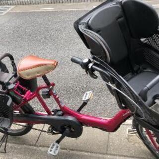パスキスミニ