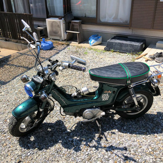 実動HONDAシャリー 6vノーマル50cc純正エンジン 3速／モンキーダックス