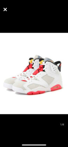 NIKE AIR JORDAN 6 AJ6 27.5cm Neutral Grey 新品未使用　ナイキエアジョーダン6 RETRO アトモス当選　試着なし