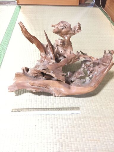 流木のオブジェ・リトルドラゴン